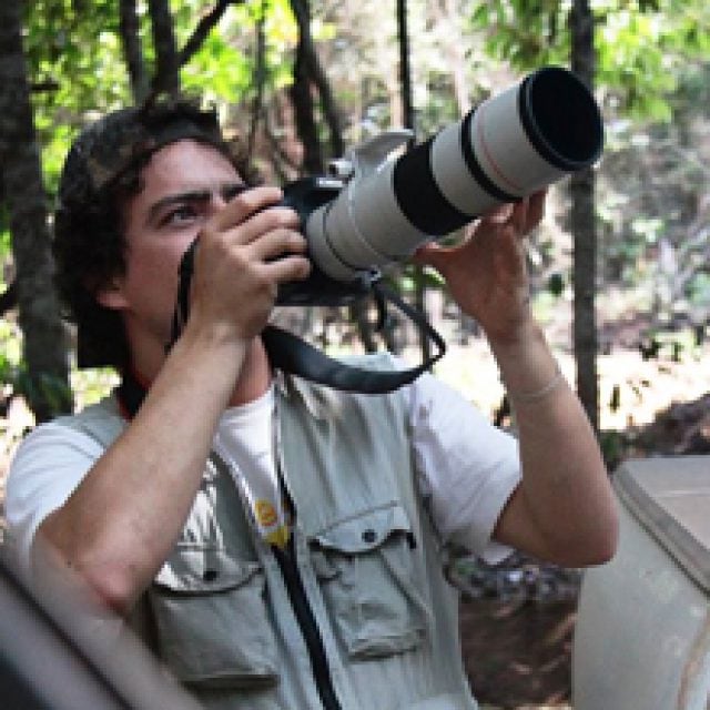 Caio Brito - Birding Guide