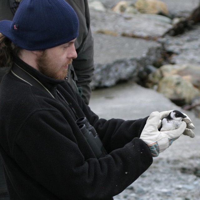 Dave Brown - Bird guide & horticulturalist