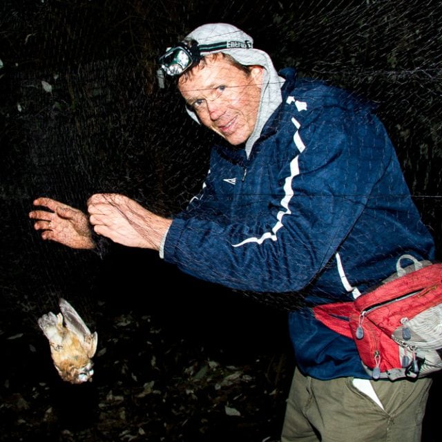 Ernesto Carman - Birding Guide