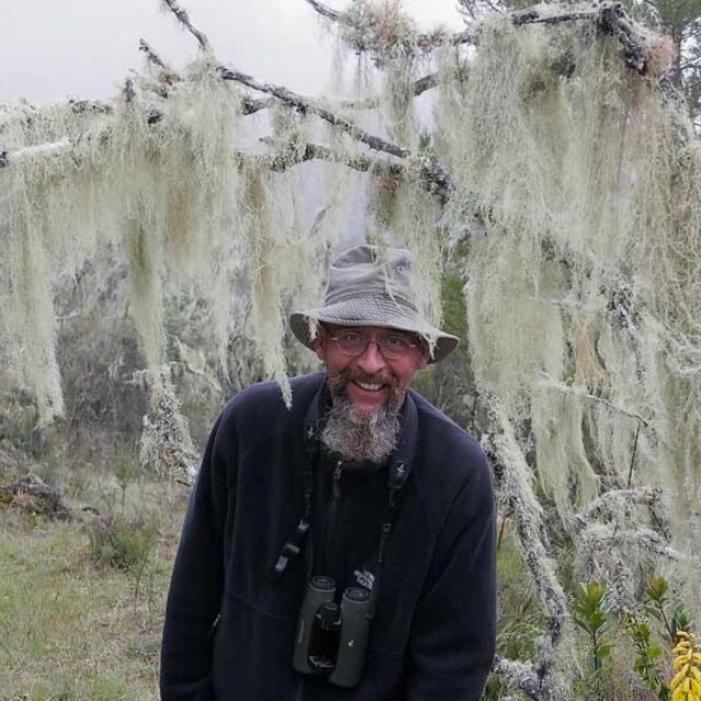 James Wolstencroft - Birding Guide & Author