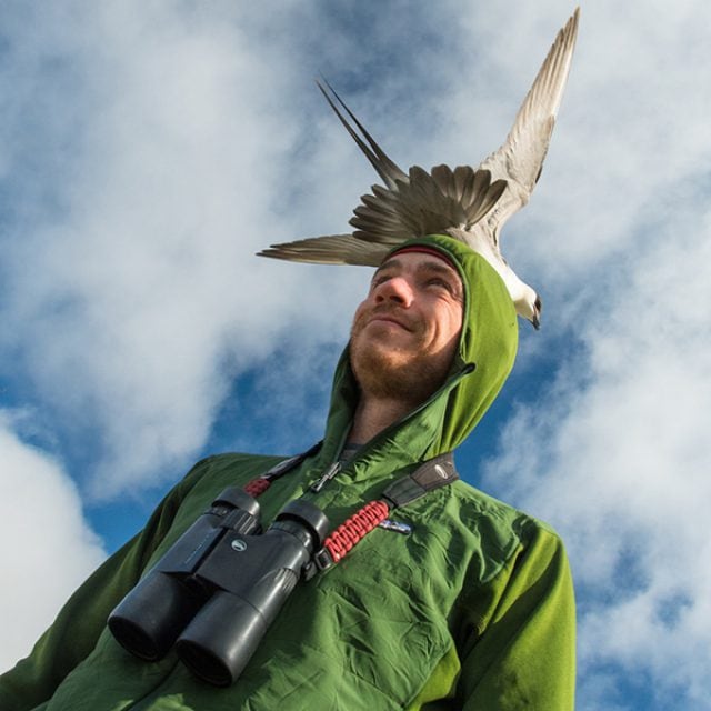 Kyle Horner - Naturalist & Birder