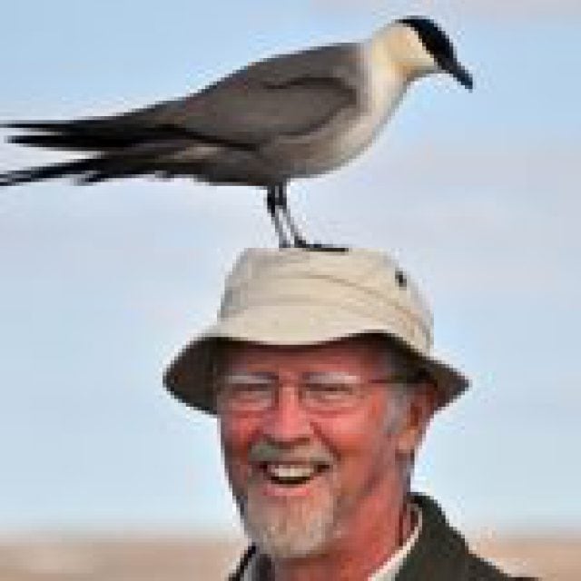 Richard Knapton - Ornithologist & Birding Guide