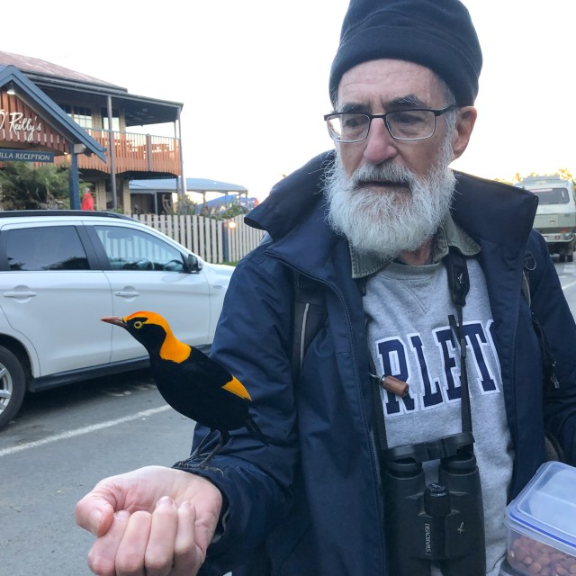 Rob Elvish - Ornithologist & Birding Guide