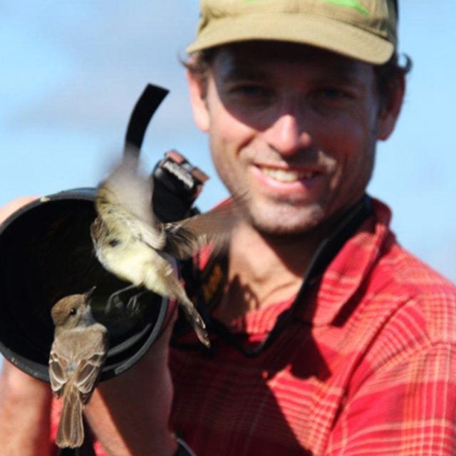 Steve Ogle - Photographer, Birder & Adventurer