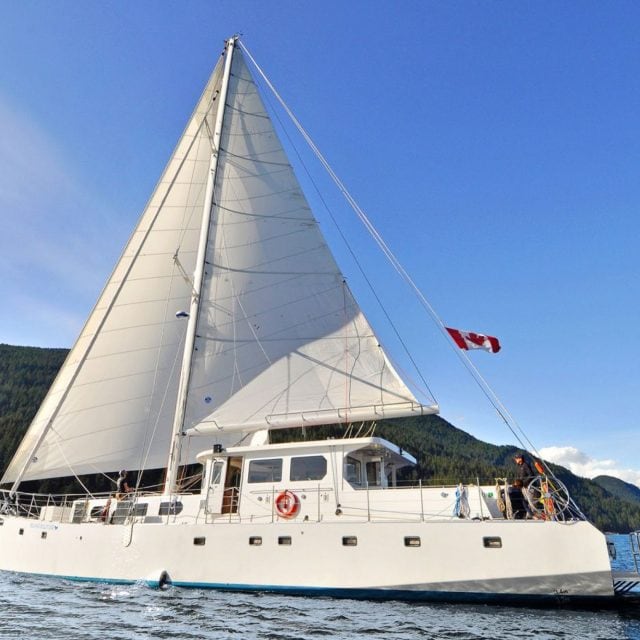 Island Solitude with sails - Island Solitude