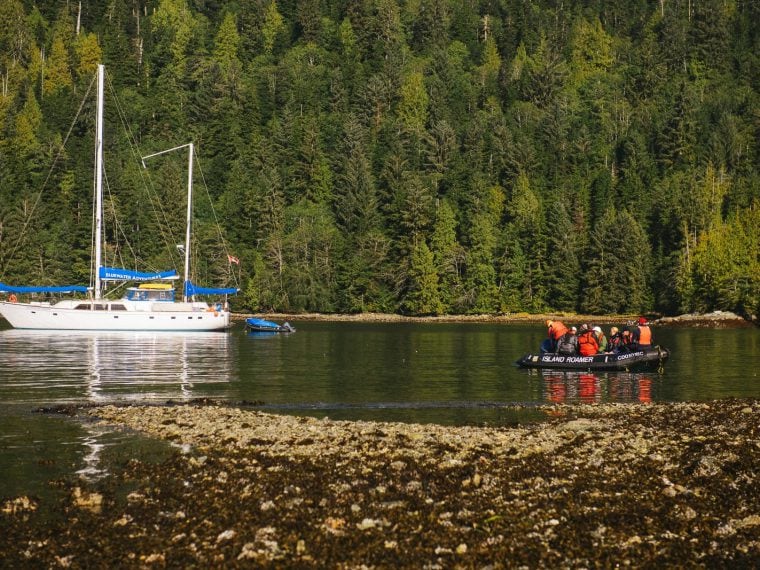 A Typical Day - Island Solitude