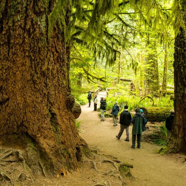 British Columbia Coast & Pelagic