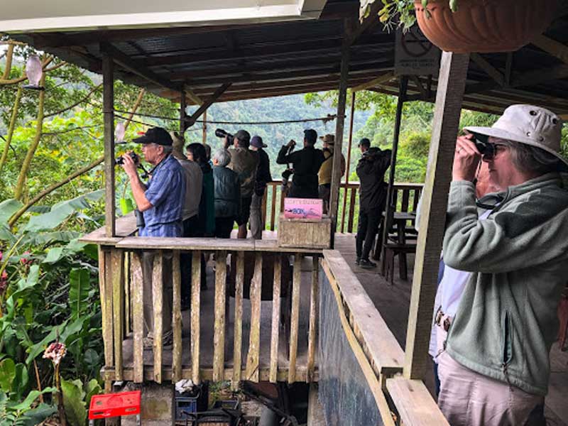 Guided Birding Tour in Costa Rica