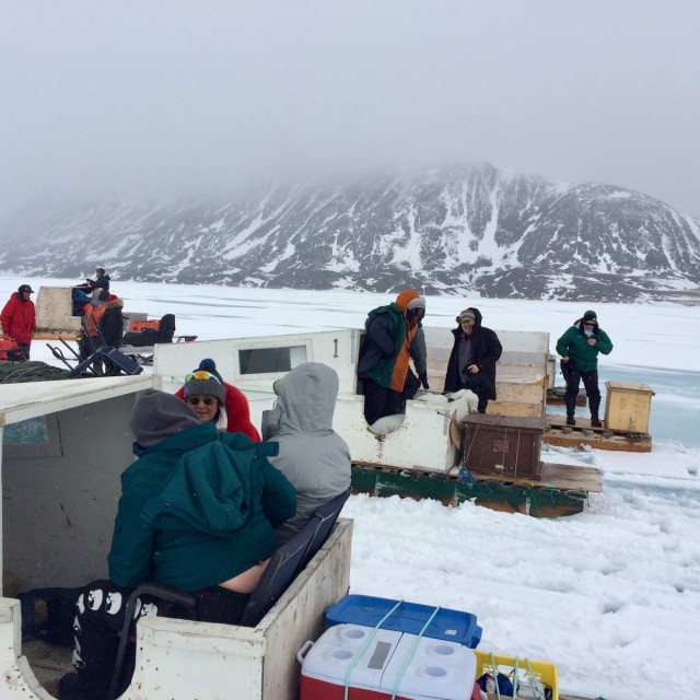 travelling by komatik on sea ice