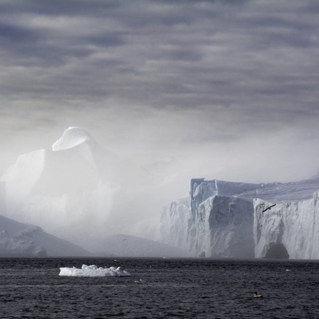Icebergs in Arctic