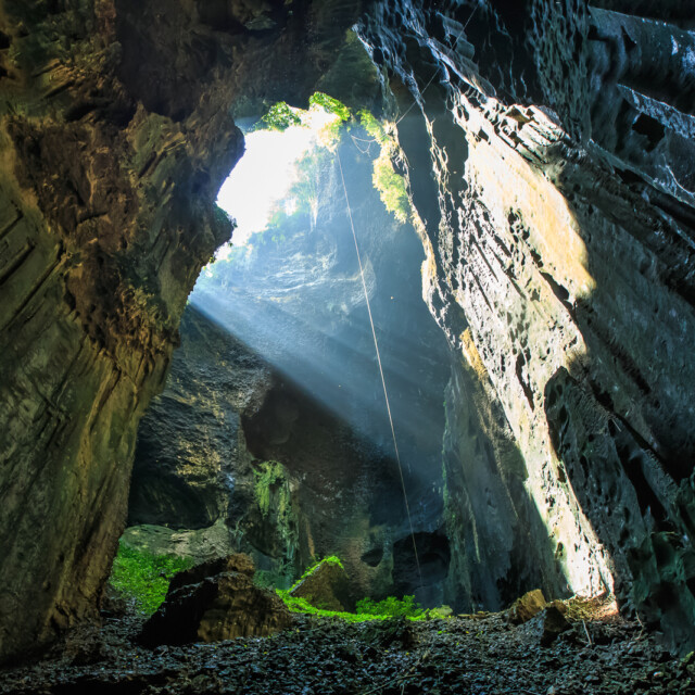 Gomantong cave is situated in the district of Kinabatangan. It is the largest cave and the main producer of edible bird's nest in Sabah.