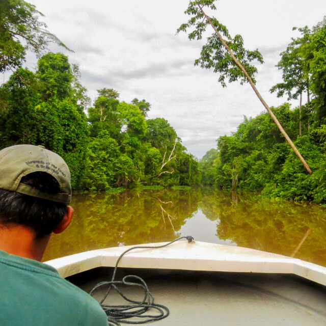 Kinabatangan River boat ride