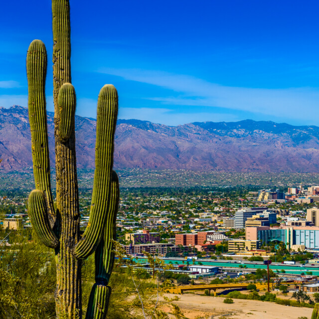 Tucson Arizona skyline cityscape framed by saguaro cactus and mountains