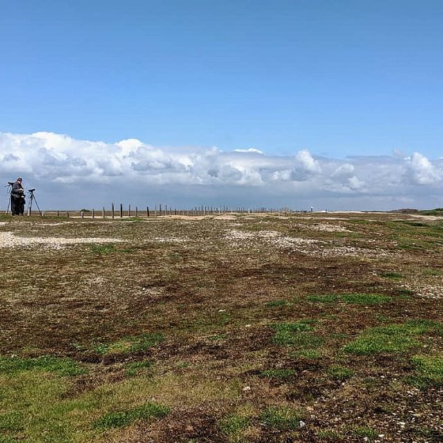 Dungeness Nature Reserve