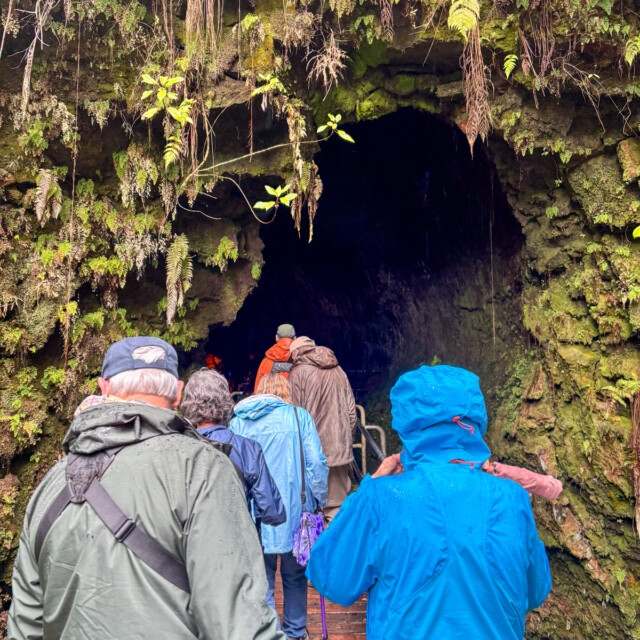 Lava Tubes