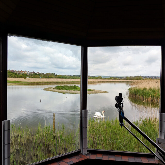 Radipole Lake