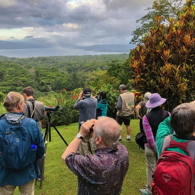 Arenal birding © Steve Ogle