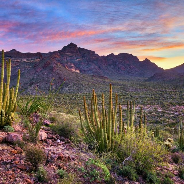 Explore Eagle-Eye Tours for USA