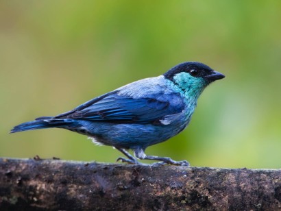 Colombia: Santa Marta