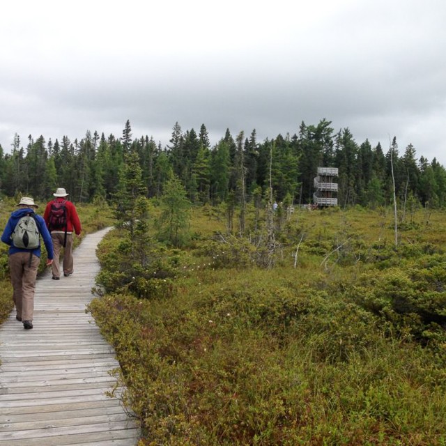 The Bog Trail, Kouchibouguac National Park, Jared Clarke