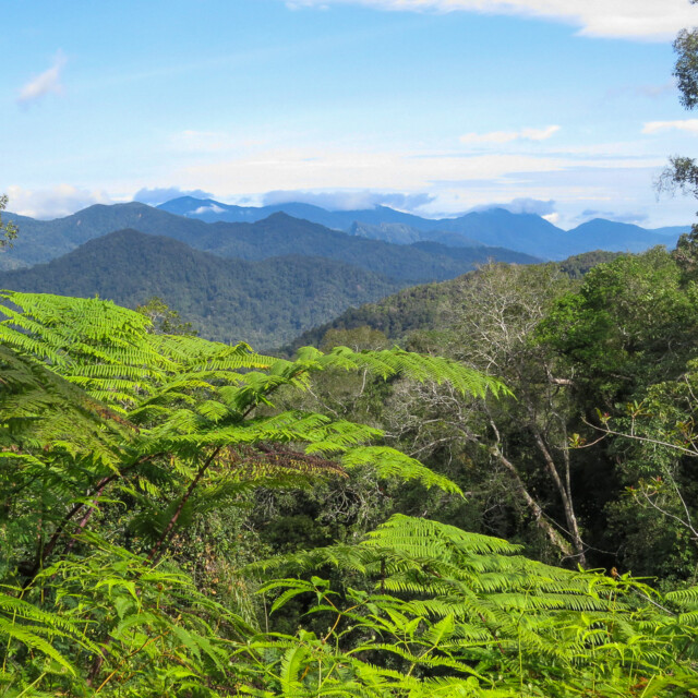 Bukit Fraser from Pine Trail-Paul_Prior