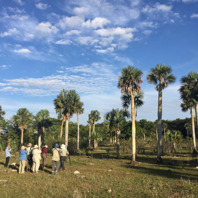 Birding near Soplilar