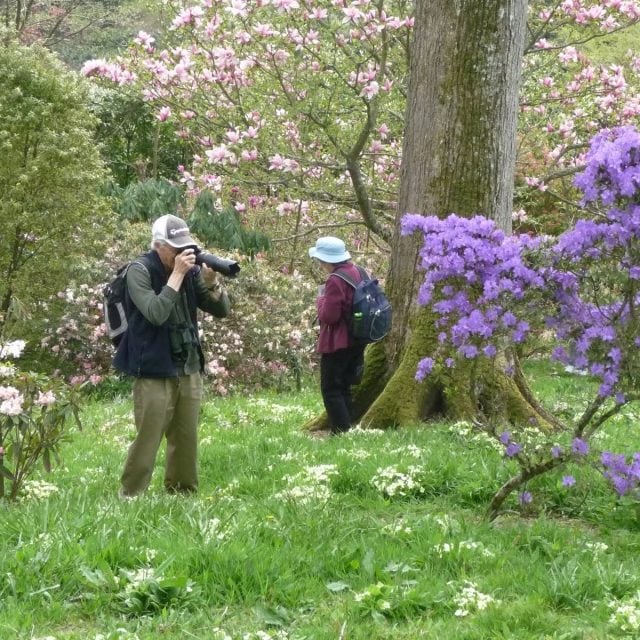 Caerhays Castle Gardens