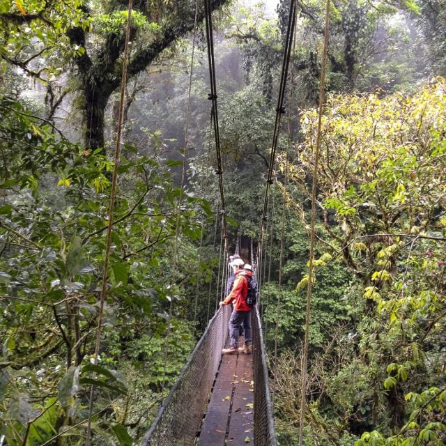 Canopy Tour - Costa Rica