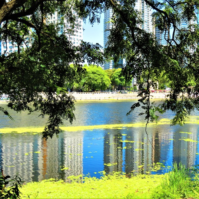 Costanera Sur Ecological Reserve Park in Buenos Aires, Argentina.