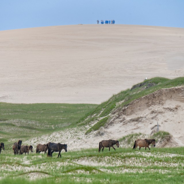 Sable Island
