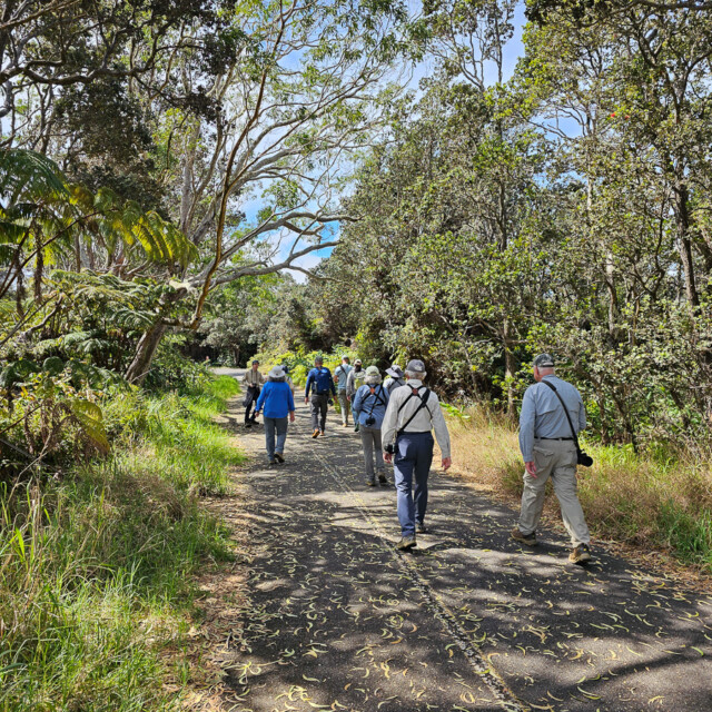 Volcanoes National Park