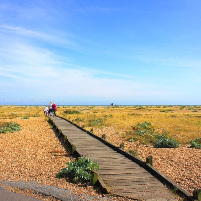 Dungeness Nature Reserve