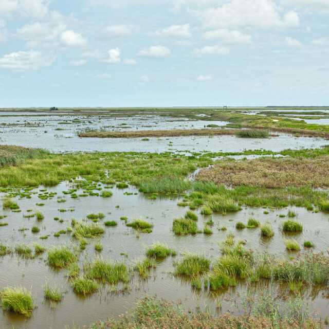 Forsyth National Wildlife Refuge
