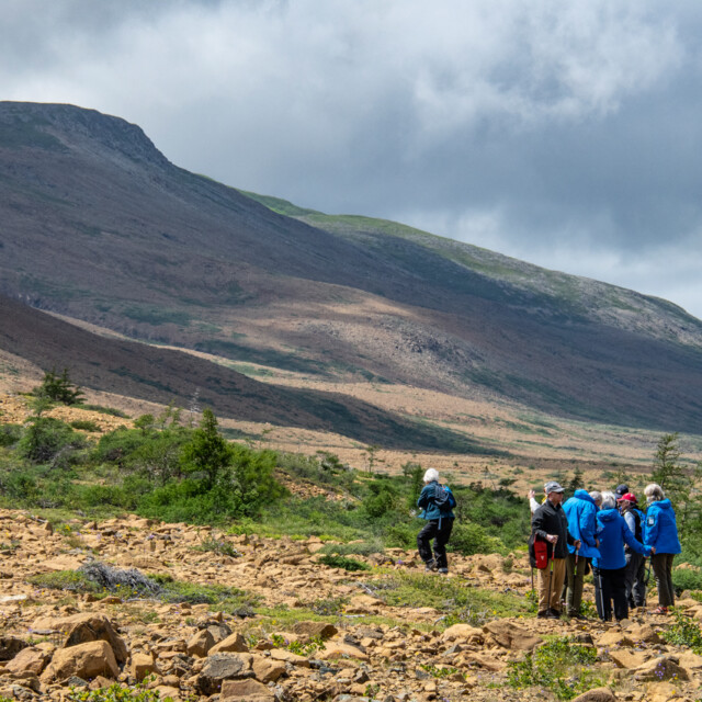 Gros Morne