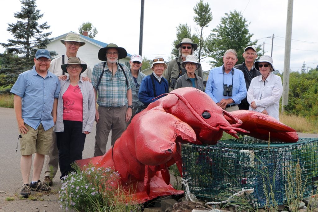New Brunswick birding group 2021