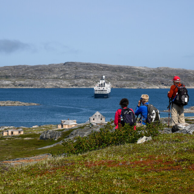 Hebron Labrador