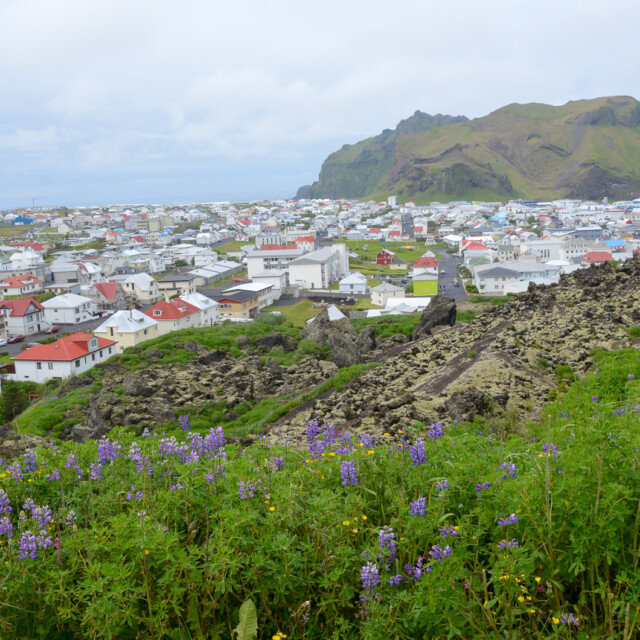 Heimaey, Iceland