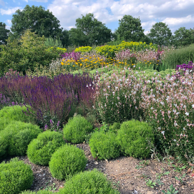 Hyde Hall RHS garden