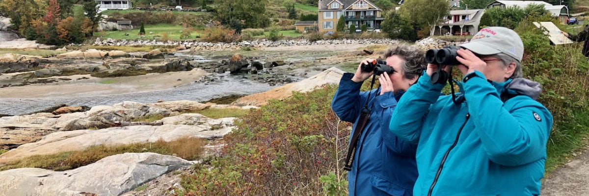 Quebec in Fall – Birds and Whales Tour Report Sept 2021