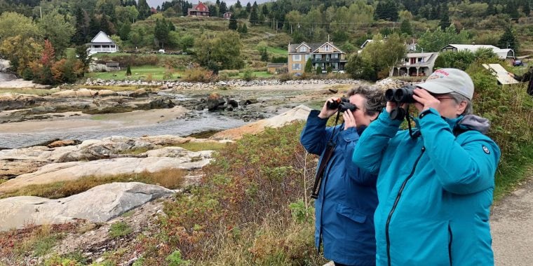 Quebec in Fall – Birds and Whales Tour Report Sept 2021