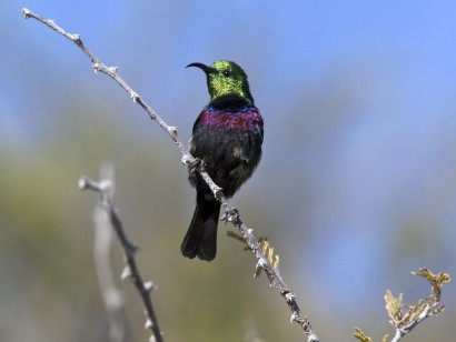 Namibia, Botswana & Victoria Falls