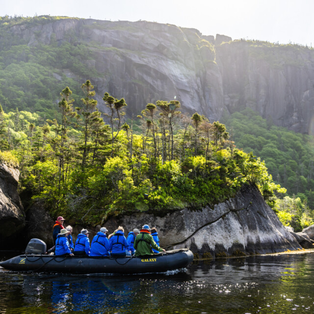 zodiac cruise Newfoundland