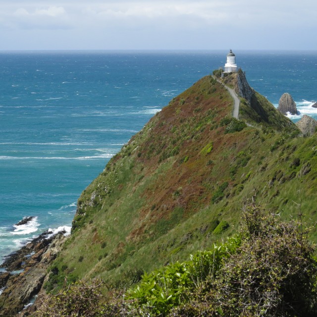 Nugget Point