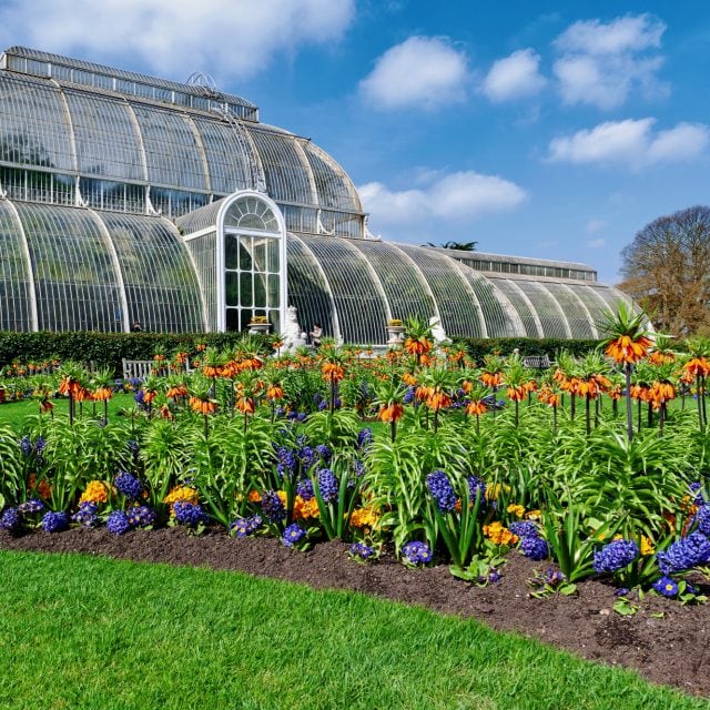 Palm House, Kew Garden