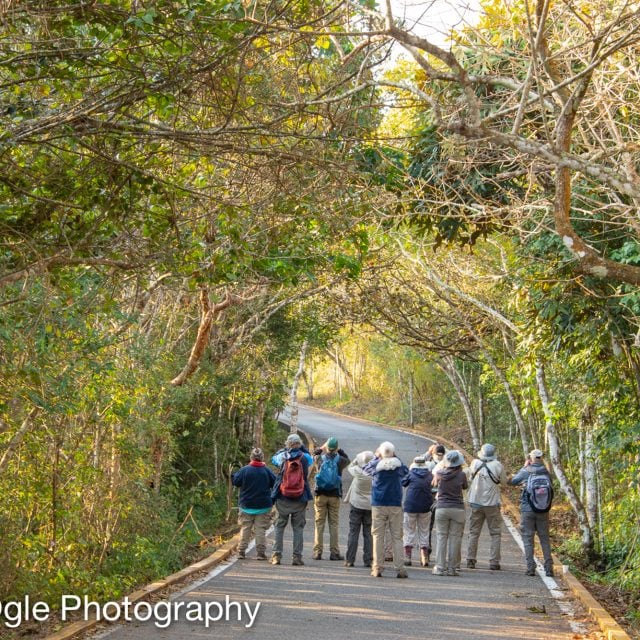 EET birding group in Mexico