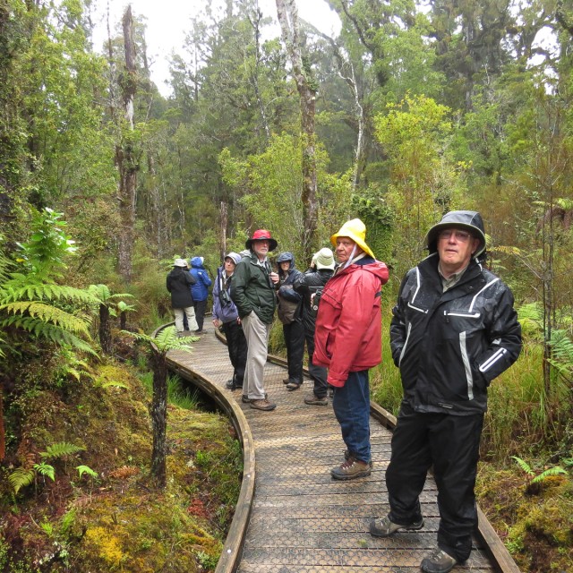Boardwalk at Ship Creek New Zealand