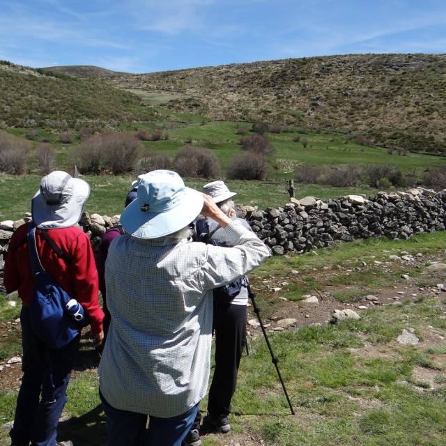 bird watching in Spain