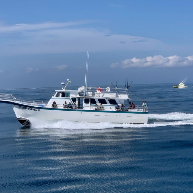 Pelagic boat