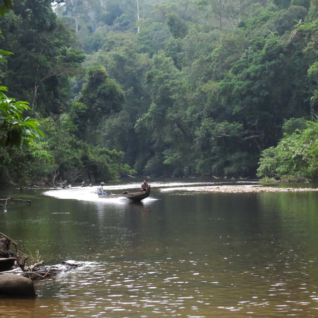 Tahan River Boats