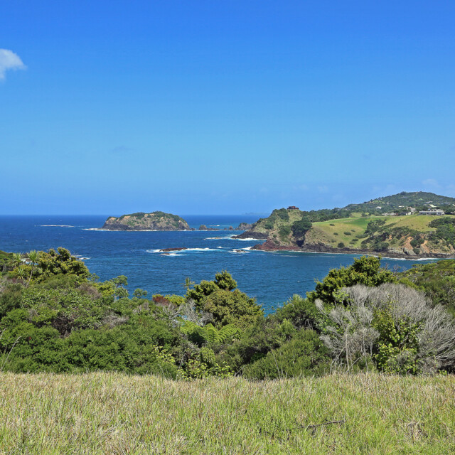 Tutukaka Head shore, New Zealand